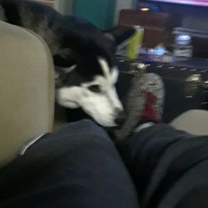 Meet your Posher, John